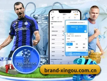 星欧娱乐 APP